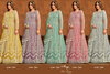 Aanaya Vol 172 By Dani Creation Net Readymade Gown With Dupatta Wholesale Suppliers In Mumbai